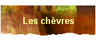 Les ch�vres