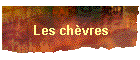 Les ch�vres