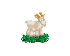 chevre.gif (133782 bytes)